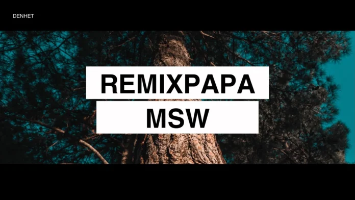 Exploring RemixPapa MSW In Modern Web Development